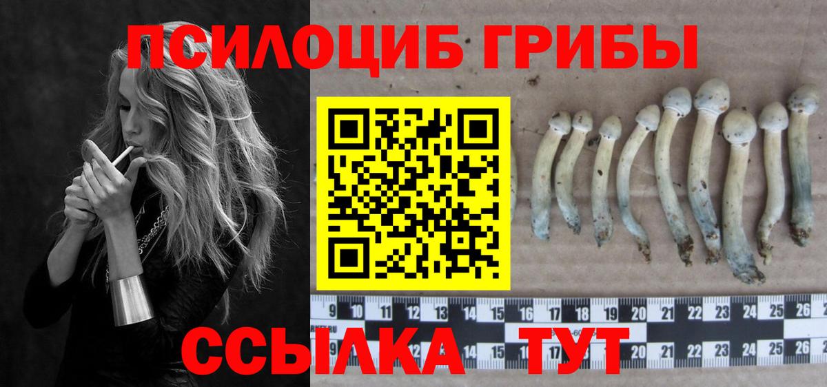Гудермес  Галлюциногенные грибы прущие грибы  Вход с VPN  Псилоцибиновые грибы мицелий 